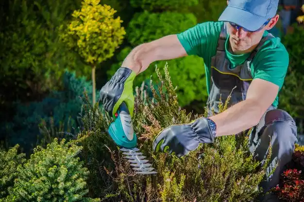 landscaping services Sutton